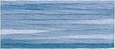 4235 Arctic Sea